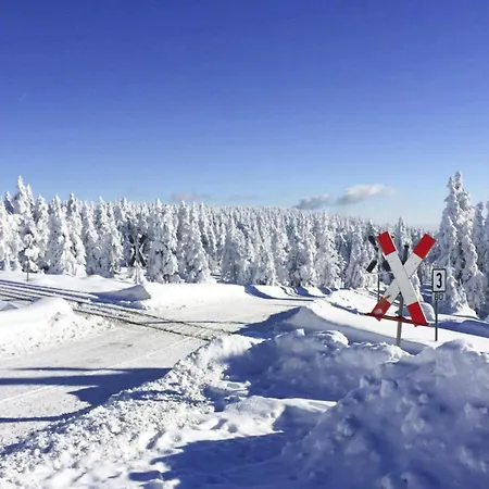 Holiday home Ferienhaeuser Im Harzresort, *