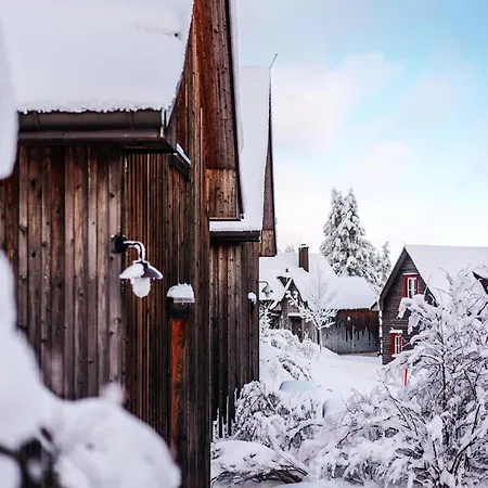 Ferienhaus Homes In Harzresort, *