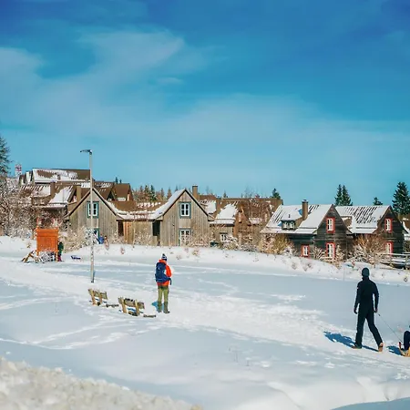Homes In Harzresort,