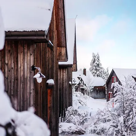 Homes In Harzresort, Ferienhaus Torfhaus