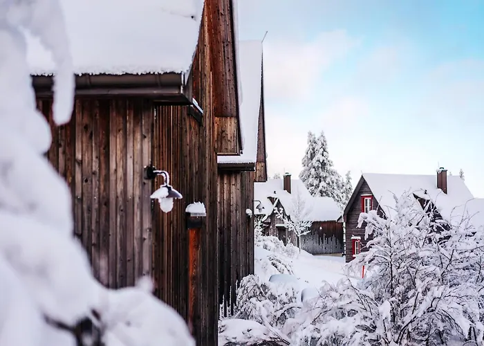 Homes In Harzresort, 度假居 *
