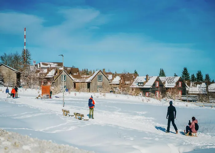 Homes In Harzresort,